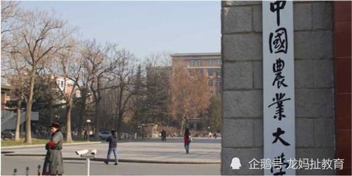 重慶迎五所雙一流大學布局，含兩所985高校南京環保工程校區